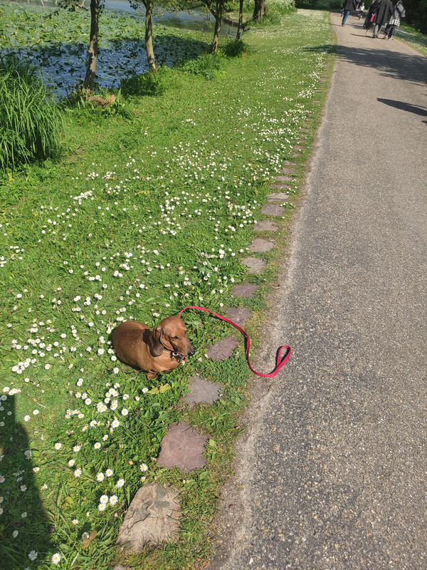 [Image: IMG-20250508-160852.jpg]