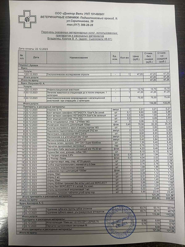 изображение_viber_2023-12-22_19-15-17-053