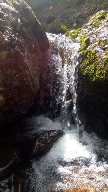 P_20180813_124033[1]