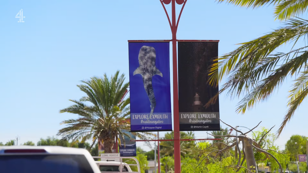 [Image: zfiyil132ys6.png]