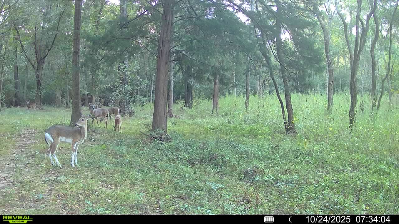 016579001896120 97 3 10242025073404 V SYFW01836