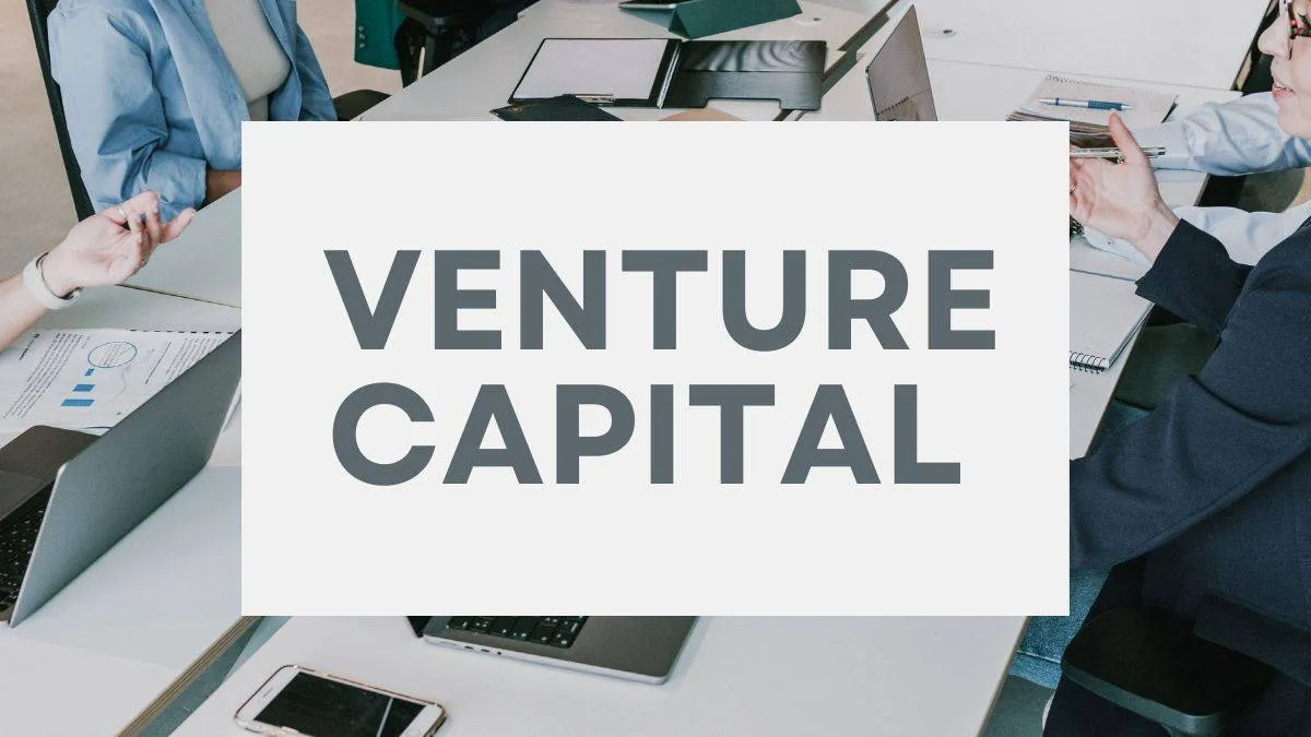 What is Venture Capital