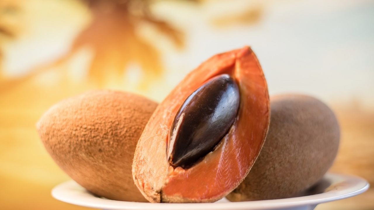 Licuado de mamey, la receta fácil de temporada que tienes que aprovechar