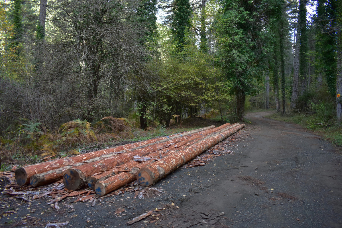 Βάλια Κάλντα (8)