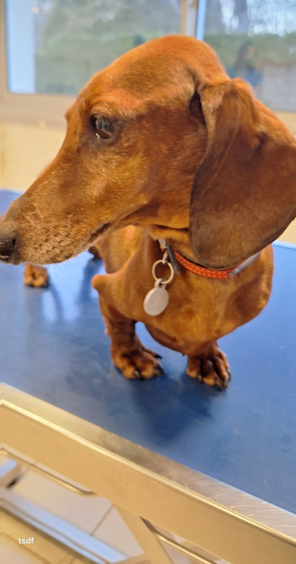 [Image: 20250227-182024.jpg]