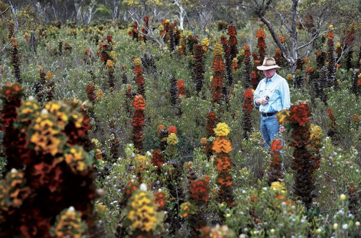 983B0DA0-9240-4BD5-88C0-F2F52F481D5C