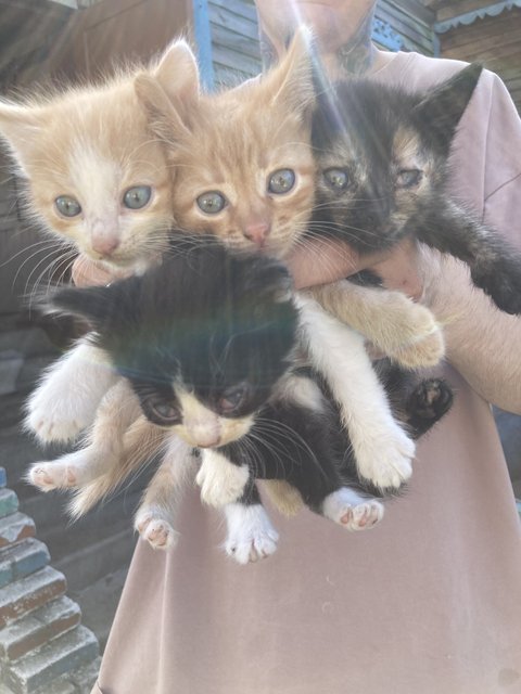 7257A0A4-57CE-42ED-90C0-C9D60EC1CB09