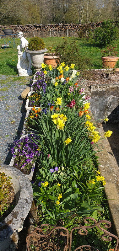 [Image: 20230403-165737.jpg]