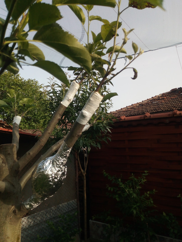 IMG_20210622_192924