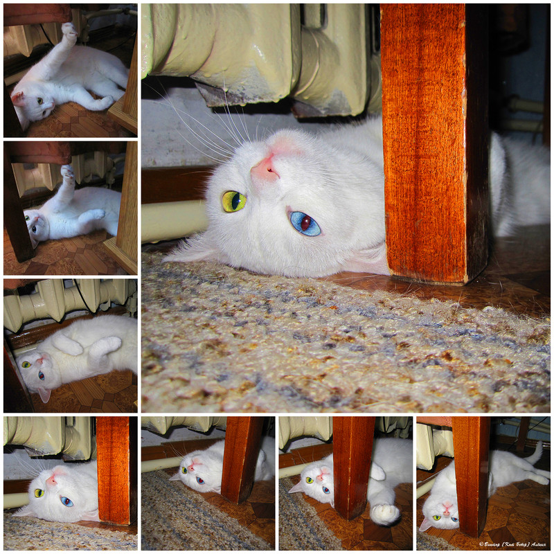 белоснежка3-8