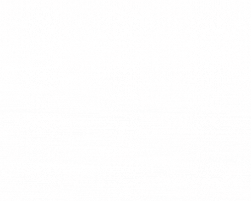 SSRP-1.gif