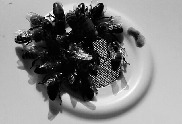 20141030_122442_resized (2)