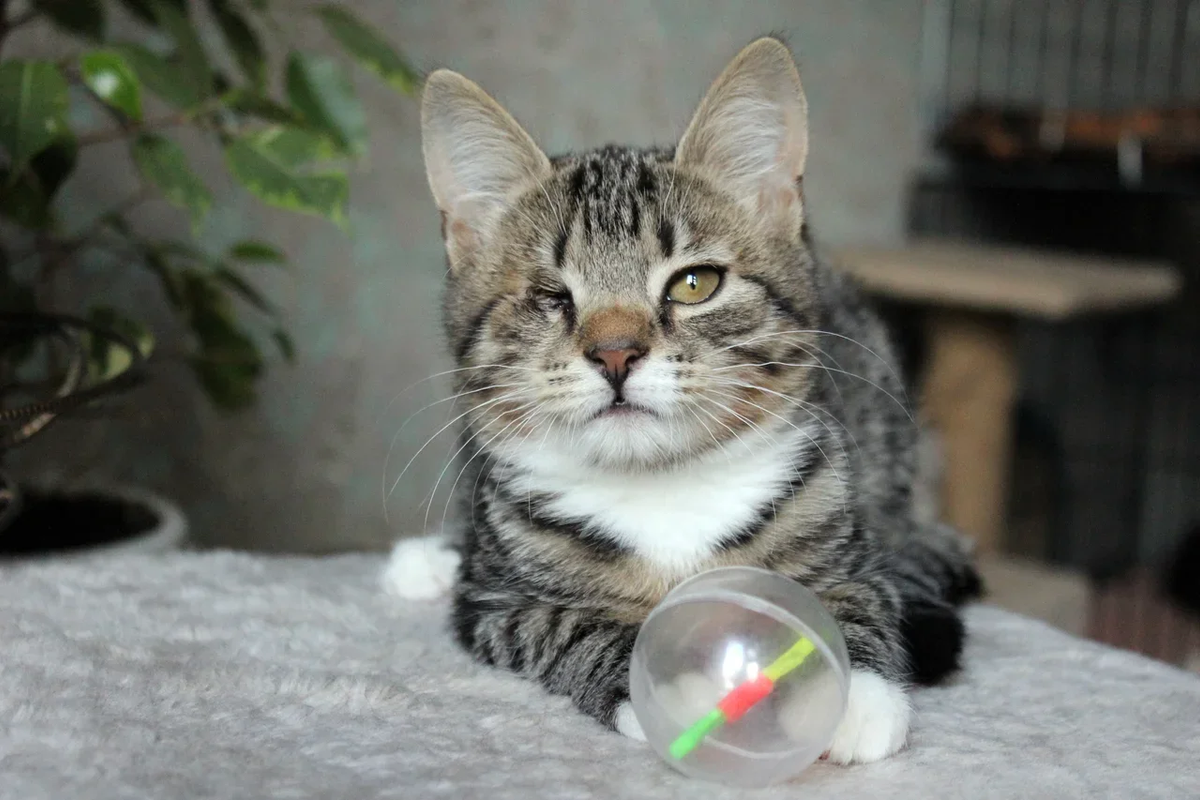 BE9A3589-87FC-409D-B9CE-70C05108052D