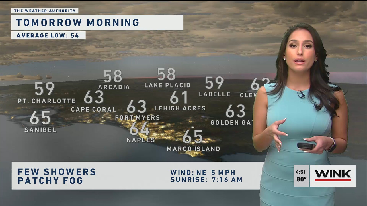 01.21 - 21.00.00 - WINK News at 4 00 p.m._001.ts_snapshot_06.35.023
