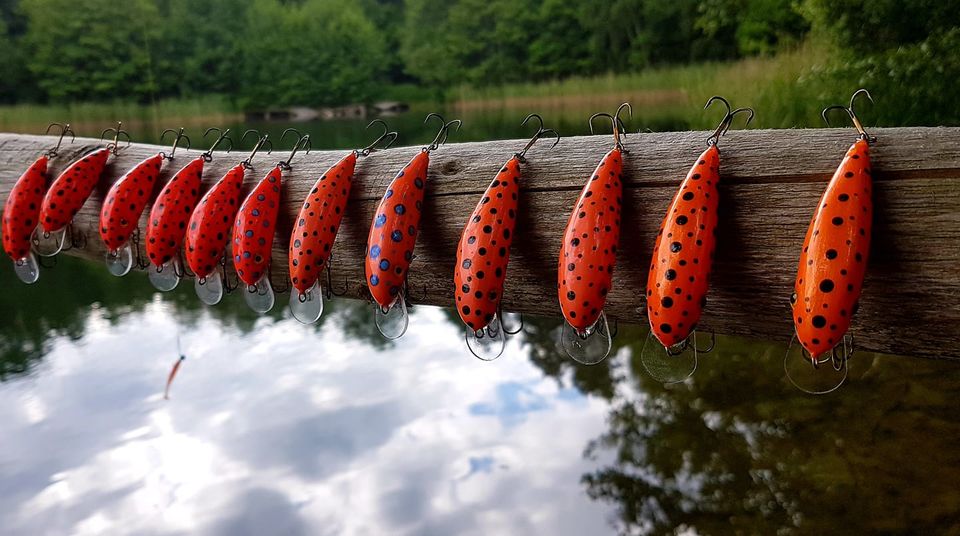 198827997-1948936475272523-6065106647271