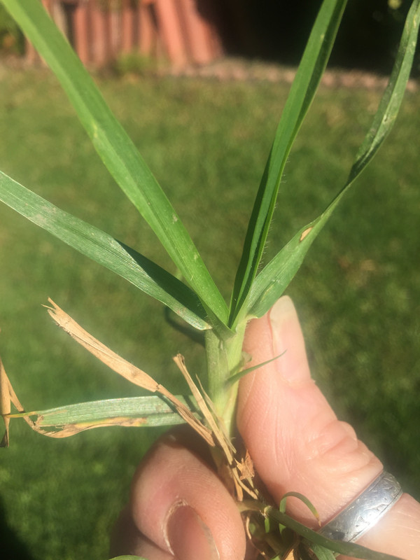 76E5950C-58D4-4DAB-AB90-84824C976CA4