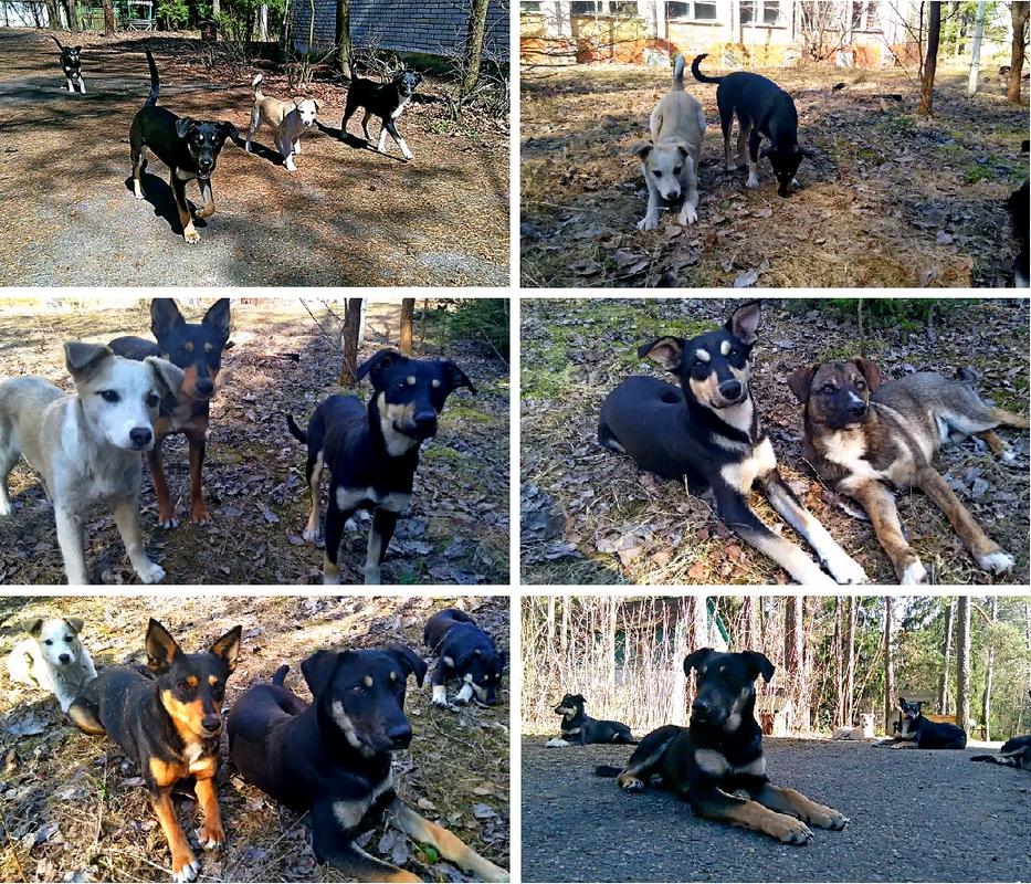 8C380294-4AE6-4F1C-A387-E448951139BF