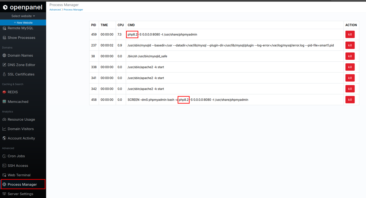 process manager check php version