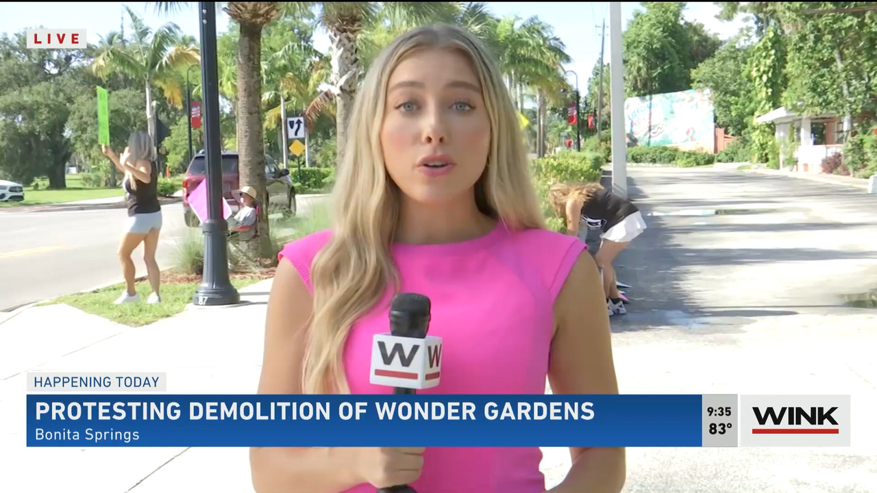 WINK News at 9 00 a.m. 2022_07_30_14_00_00.ts_snapshot_00.38.48.344