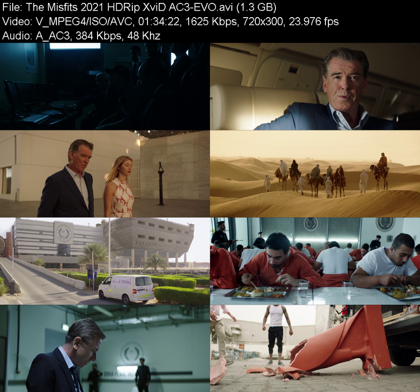 the-misfits-2021-hdrip-xvid-ac3-evo.png