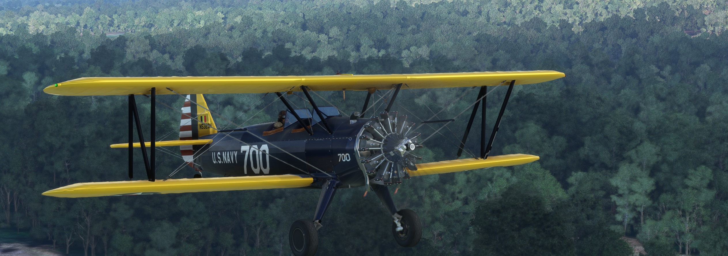Stearman-Dillingham.jpg
