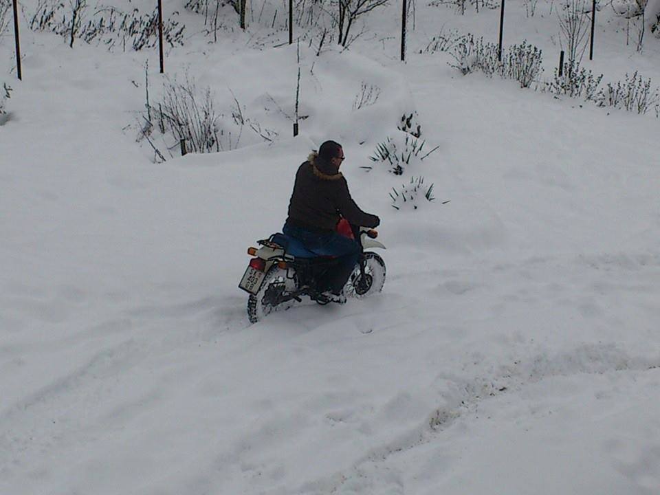 1017339_1520333551525921_730629687_n