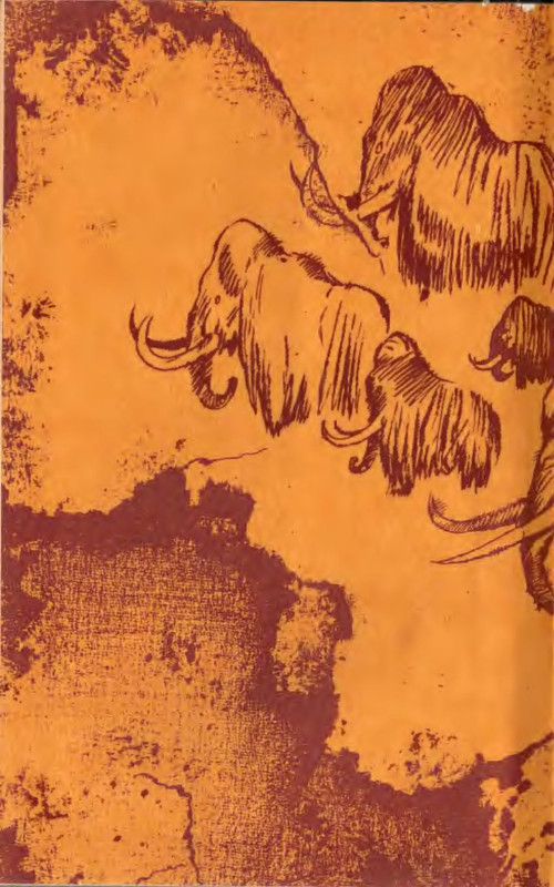p0031