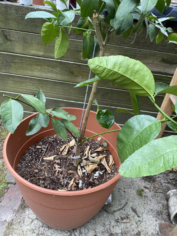 70D7A709-7C06-4A93-8A70-4EB350381821