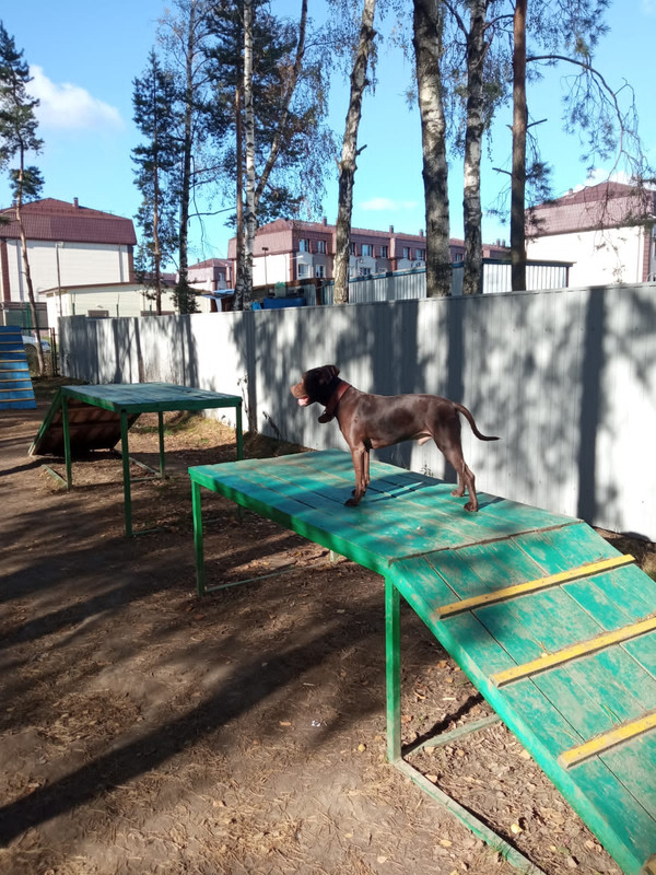 8075DBF5-8DDB-4784-BA53-B8DA87E80895