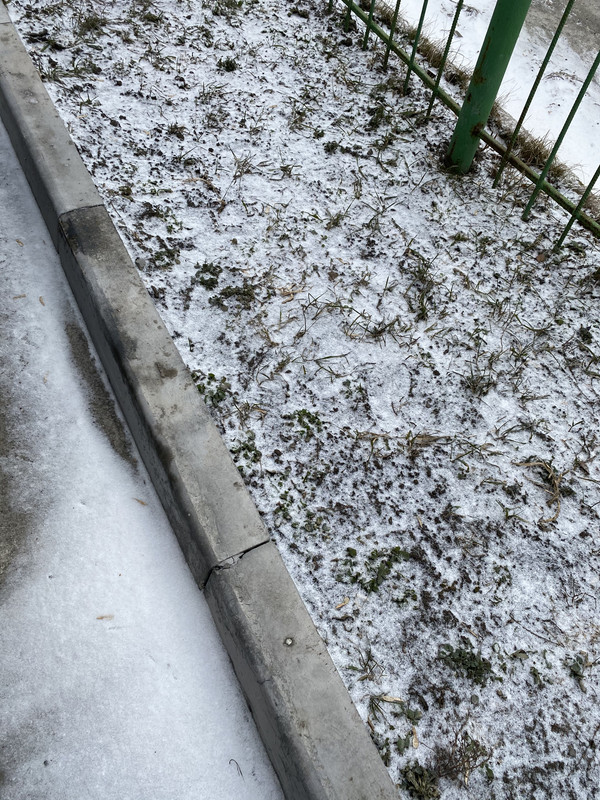 86C7CF4B-1CCA-4D10-B9BF-0F919AB00A9F