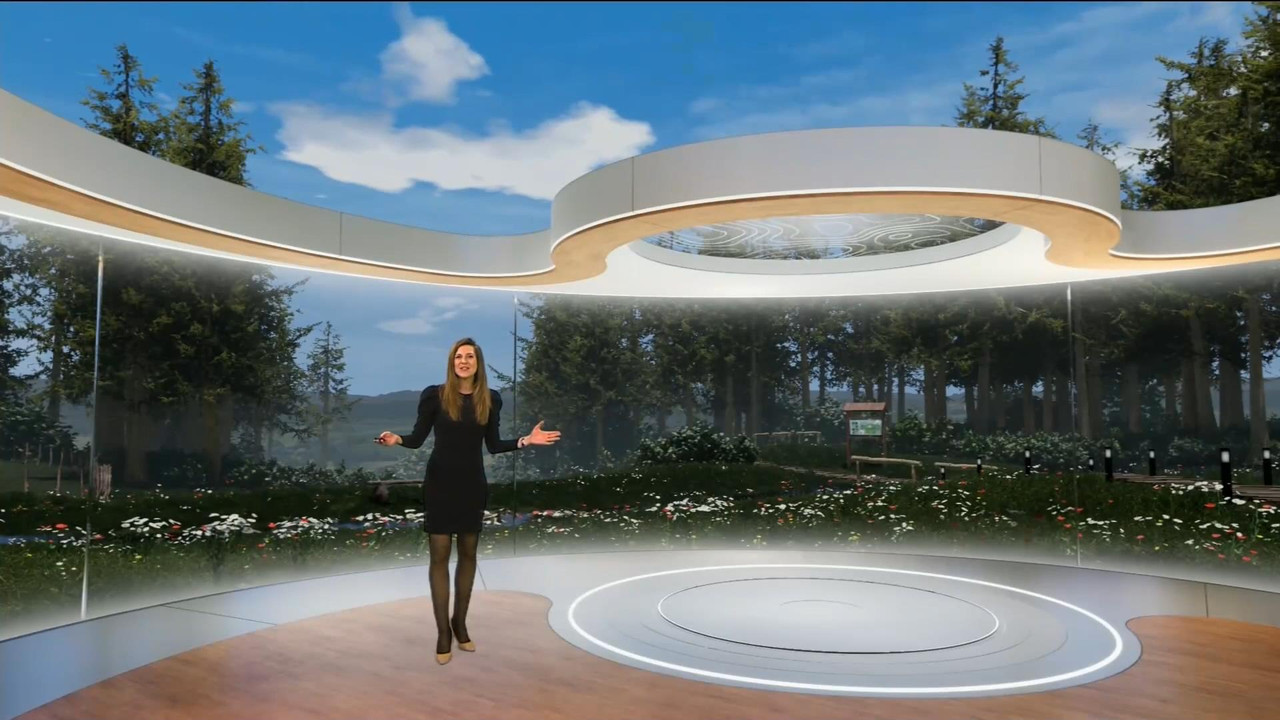 Daniela Prepeliuc 230321.mp4_snapshot_00.01_[2021.03.23_16.28.42]