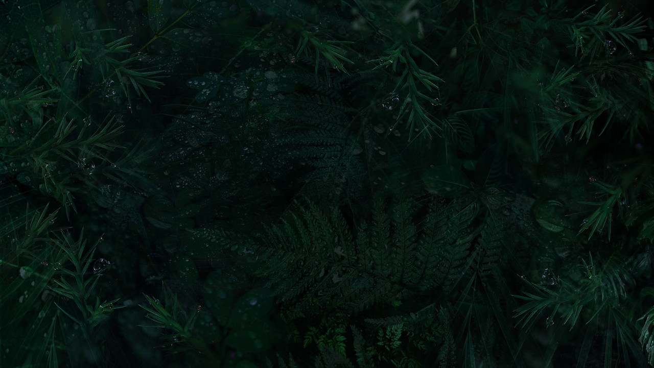 Blog Banner