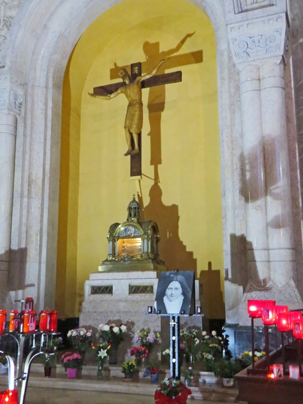 https://i.postimg.cc/2jZvsc68/080-IMG-7791.jpg