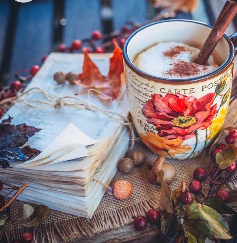 Screenshot_20230211_142819_Chrome