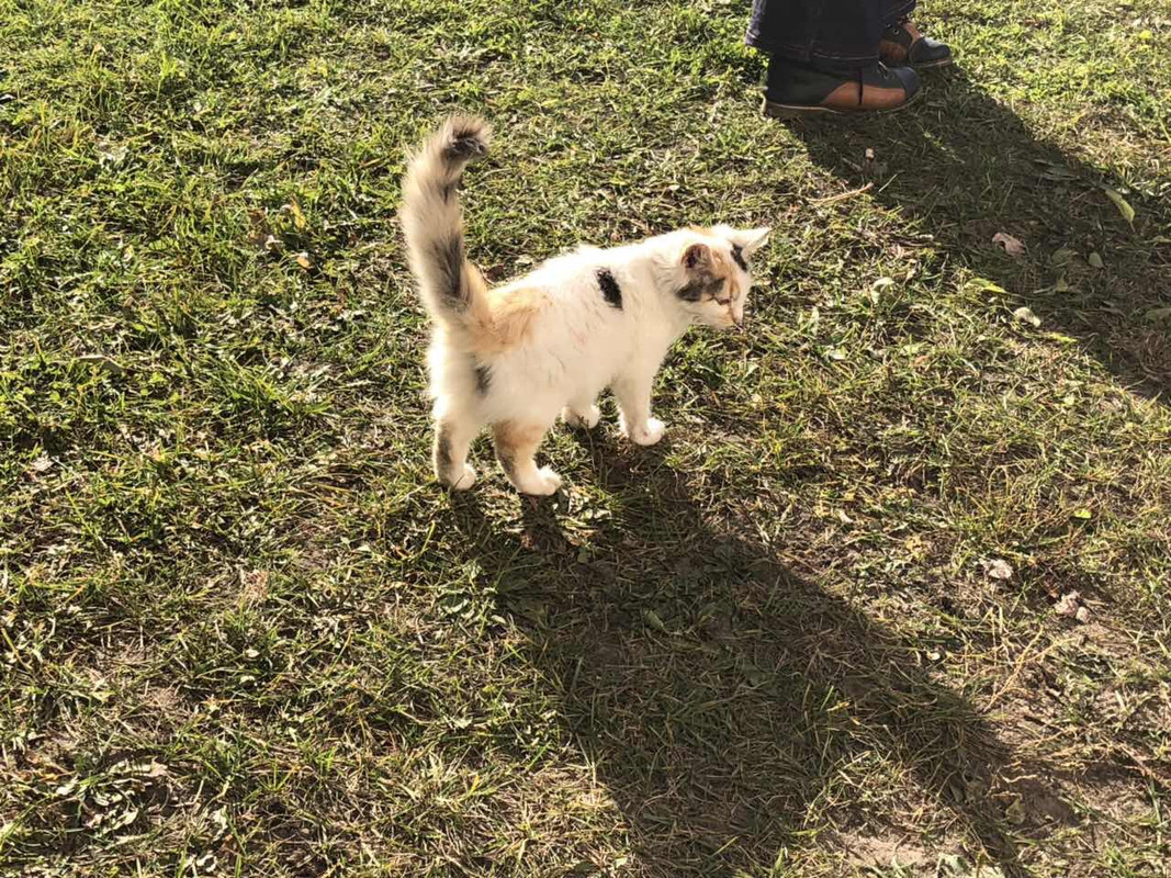 D6CEE865-3882-43D0-B52F-42AF1E5C7D53