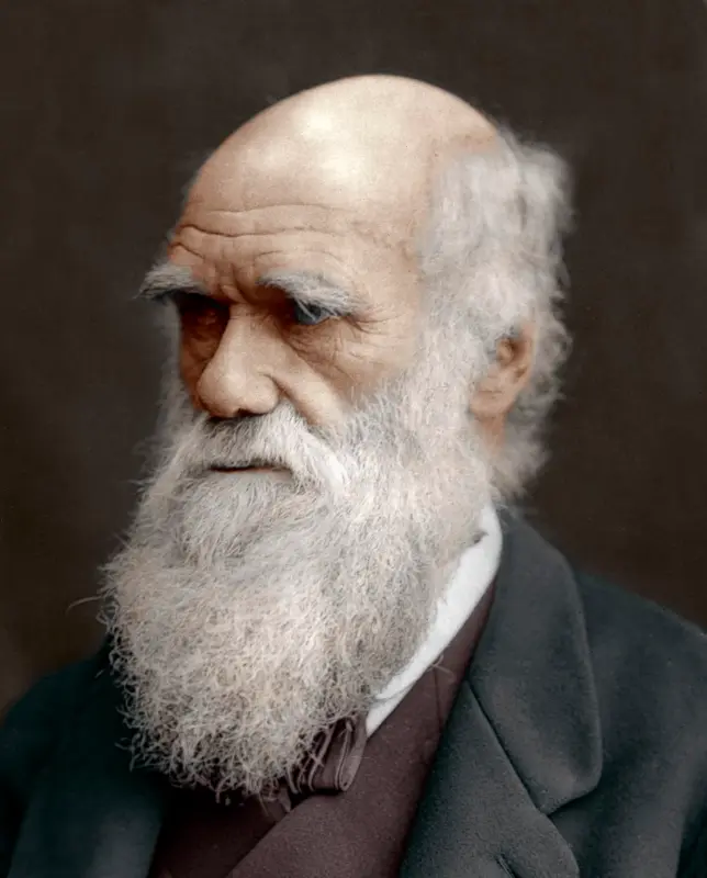 05_15_2014_darwin