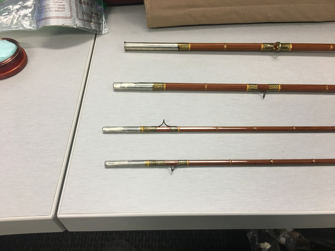 DB2413F1-5AA3-40ED-BC4C-15FB3B349AE1