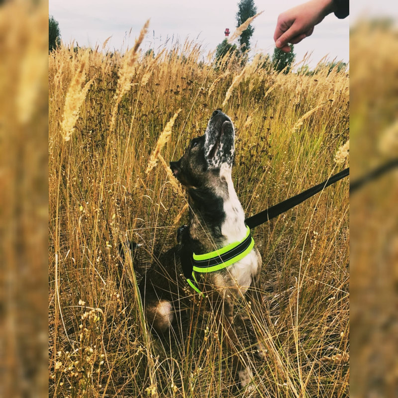 542A772E-C7C4-459B-B89B-43884E32F88C