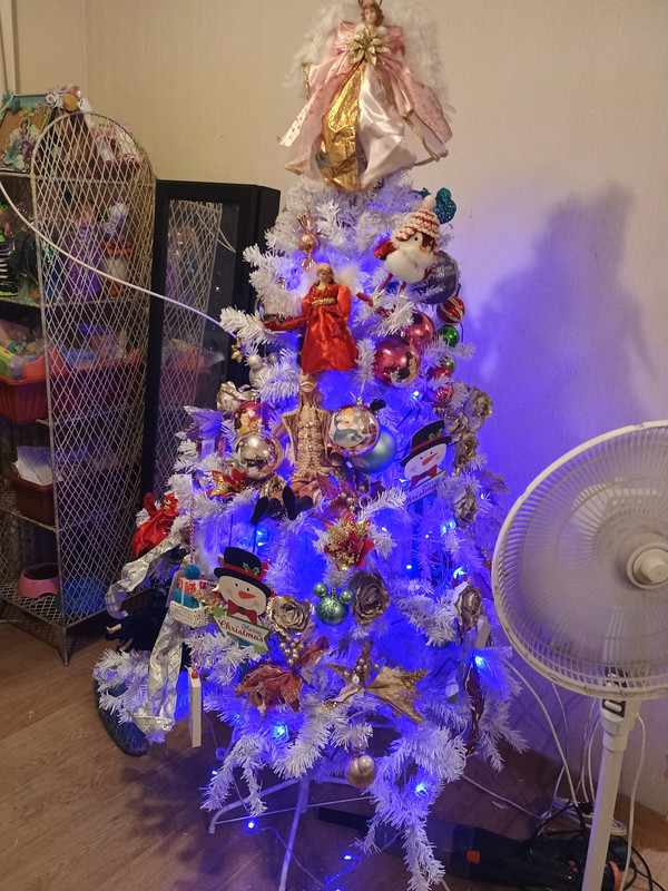 IMG_20241208_213144355_HDR
