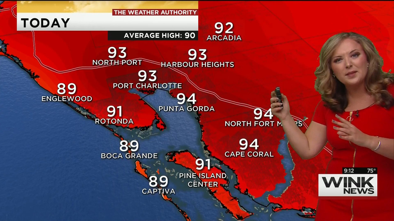 23 May - 14.00.00 - WINK News @ 9 00AM..ts_snapshot_00.17.18_[2020.05.23_17.12.53]