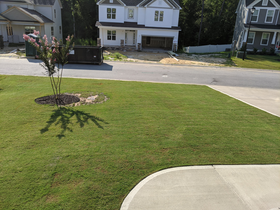 MVIMG_20200718_084817