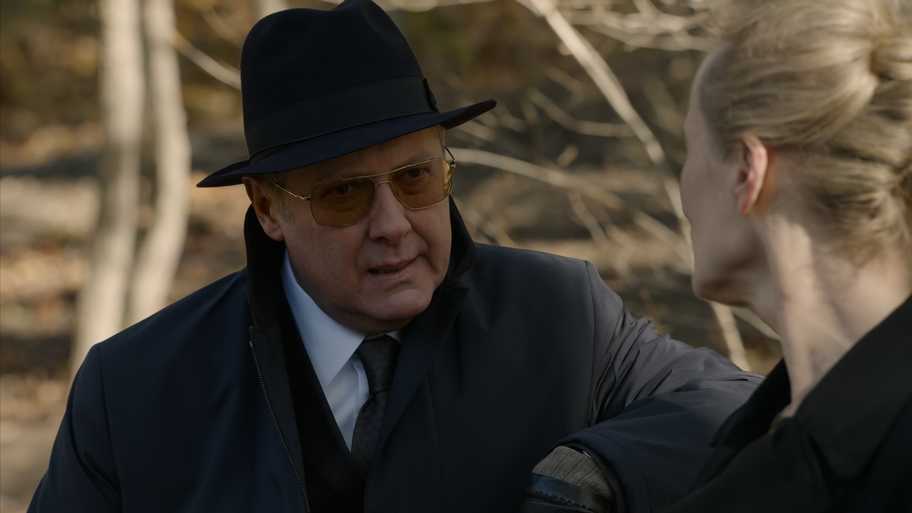 The.Blacklist.S08E02.Katarina.Rostova.Conclusion.1080p.10bit.AMZN.WEB-DL.DDP5.1.HEVC-Vyndros.mkv_sna