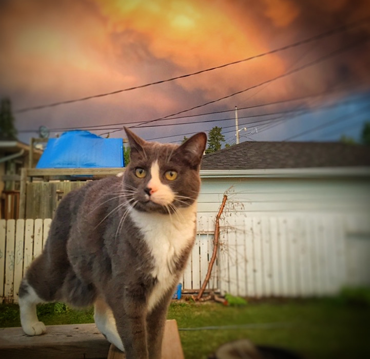 4AD25BB2-4B57-4E97-835A-5120E3B0D1DC