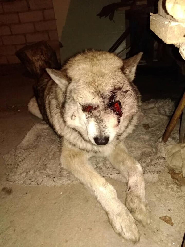 520E18A0-44A8-4F60-8A8D-29DAF7C27155