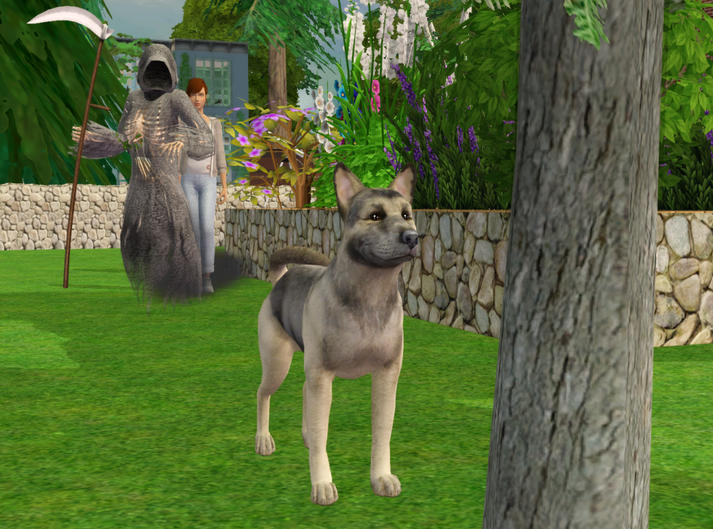 Sims2-EP9-RPC-2021-11-27-21-49-00-86