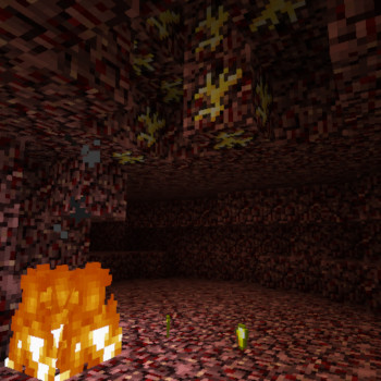 Nether gold deposits