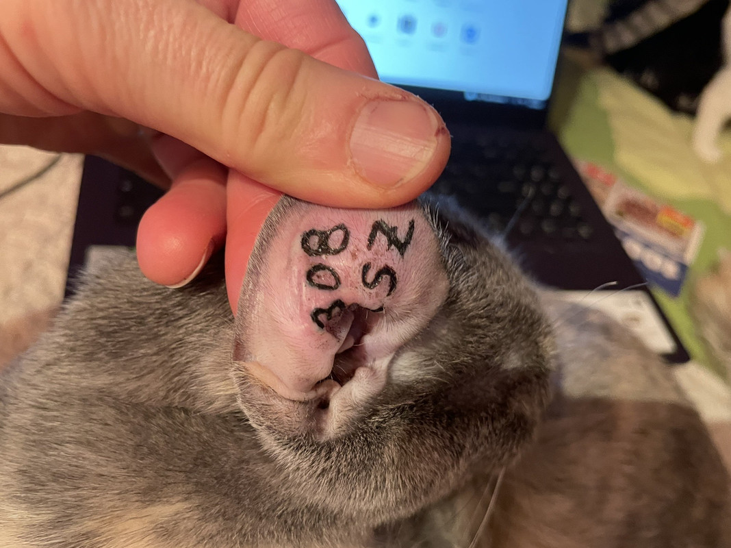 5809148D-DCE3-4C28-874A-2CAC61AFC7FE