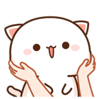 main-1.png