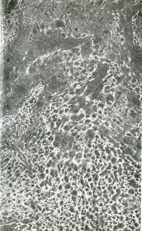 p0003