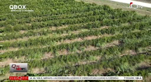 Altri canali locali natale new2 (1)